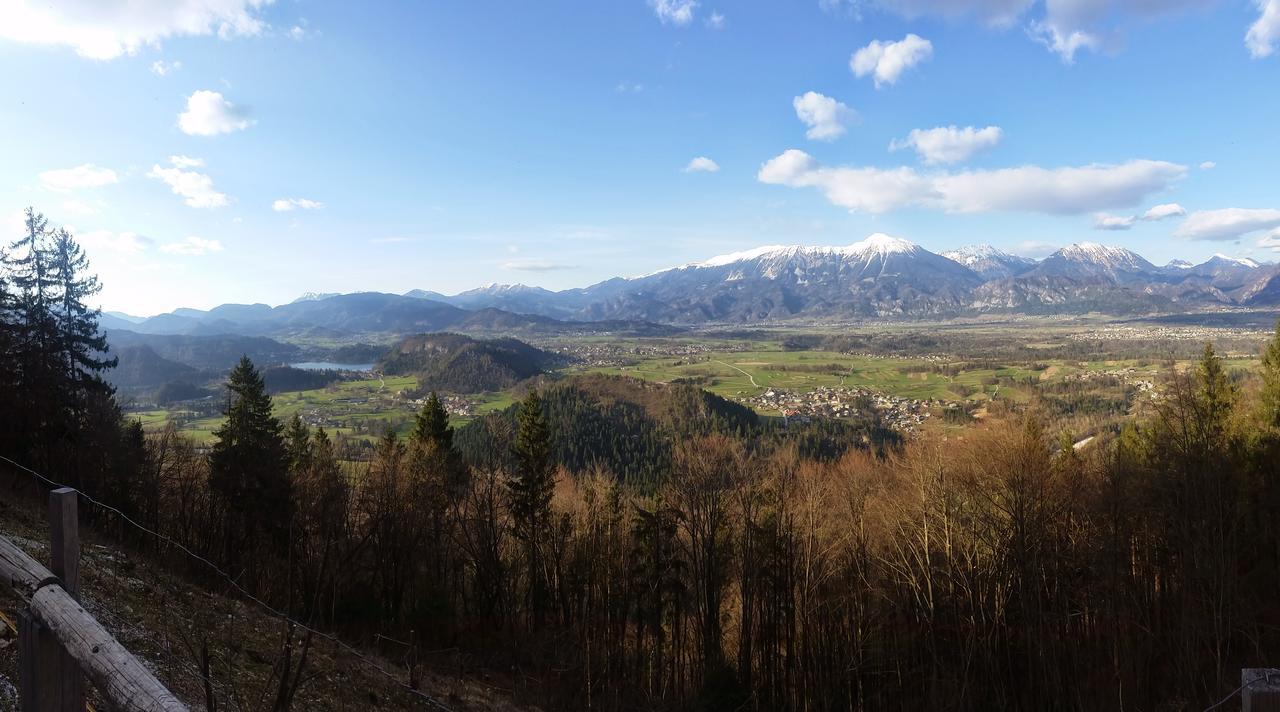 Bed and Breakfast Koca Na Talezu Ribno Екстер'єр фото